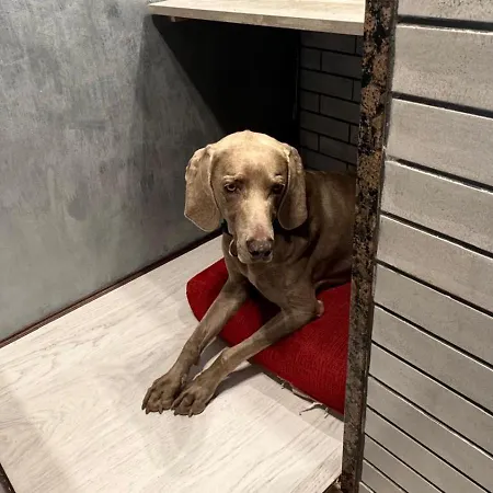 Casa Di Giovanni - Italien * Múggia